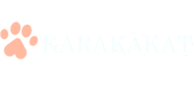 Karakakat Boarding Cattery